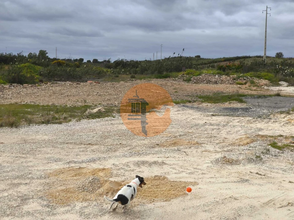 Negócio para Venda em Azinhal Foto 35