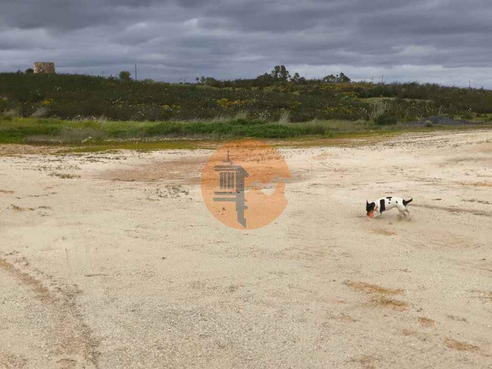 Negócio para Venda em Azinhal Foto 37