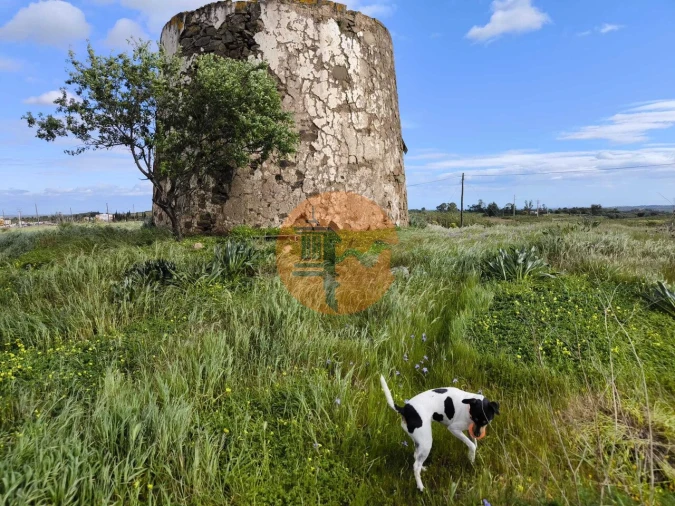 Negócio para Venda em Azinhal Foto 15