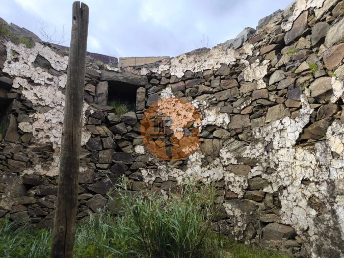 Negócio para Venda em Azinhal Foto 22