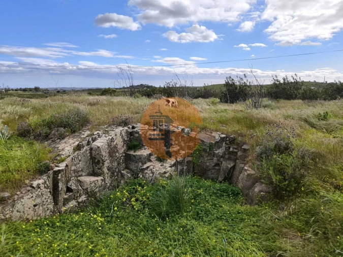 Negócio para Venda em Azinhal Foto 29