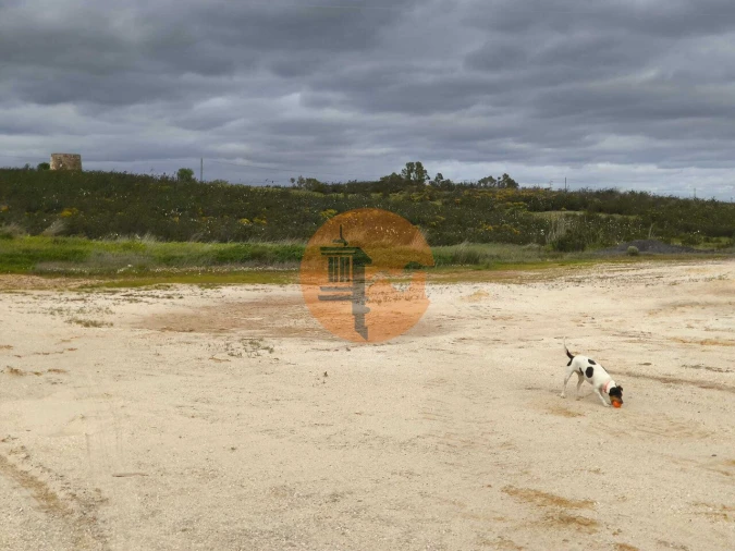 Negócio para Venda em Azinhal Foto 34