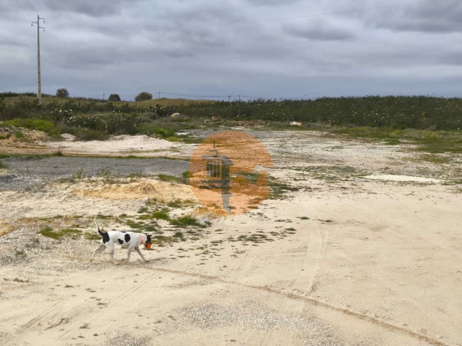 Negócio para Venda em Azinhal Foto 36
