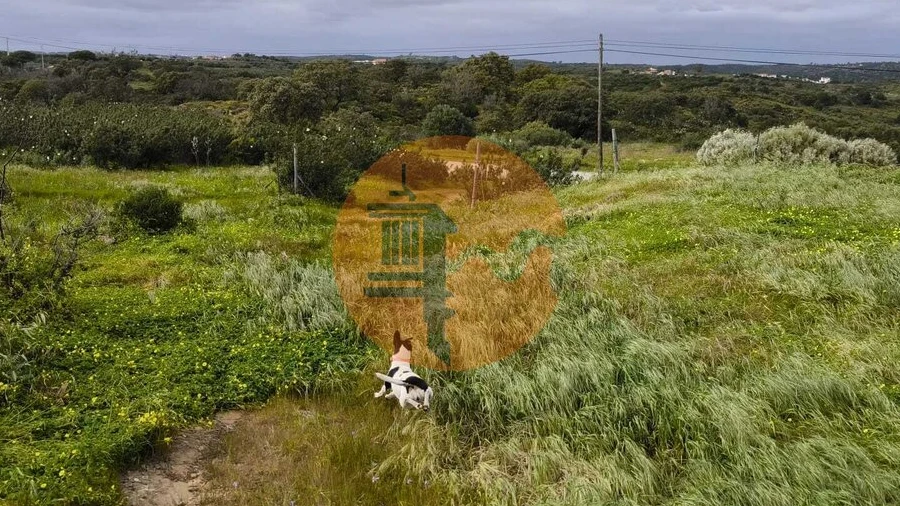 Negócio para Venda em Azinhal