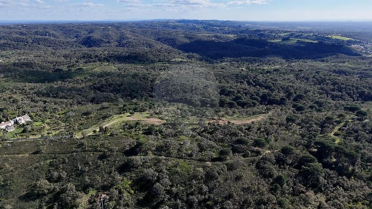 Terreno para Venda em São Francisco da Serra Foto 9