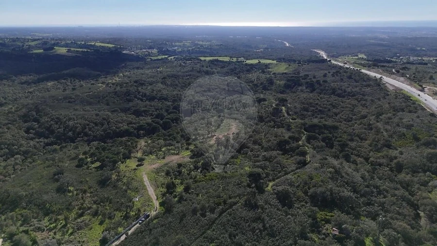 Terreno para Venda em São Francisco da Serra Foto 7