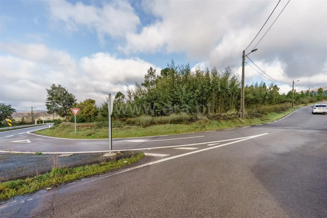 Terreno para Venda em Cortes do Meio Foto 11