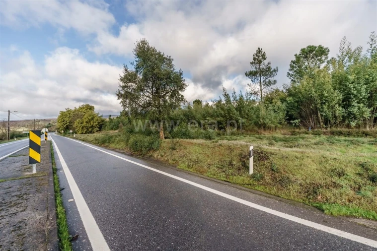 Terreno para Venda em Cortes do Meio Foto 12