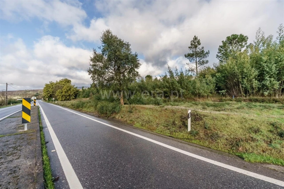 Terreno para Venda em Cortes do Meio Foto 12