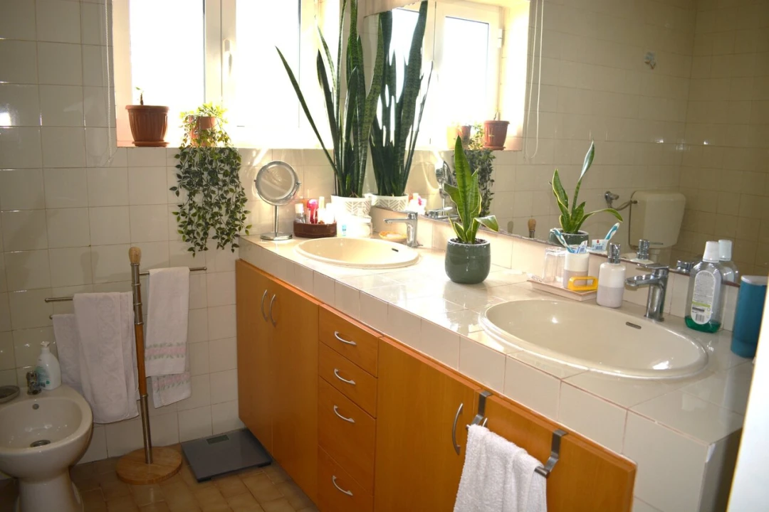 Moradia T5 para Venda em Riachos Foto 14