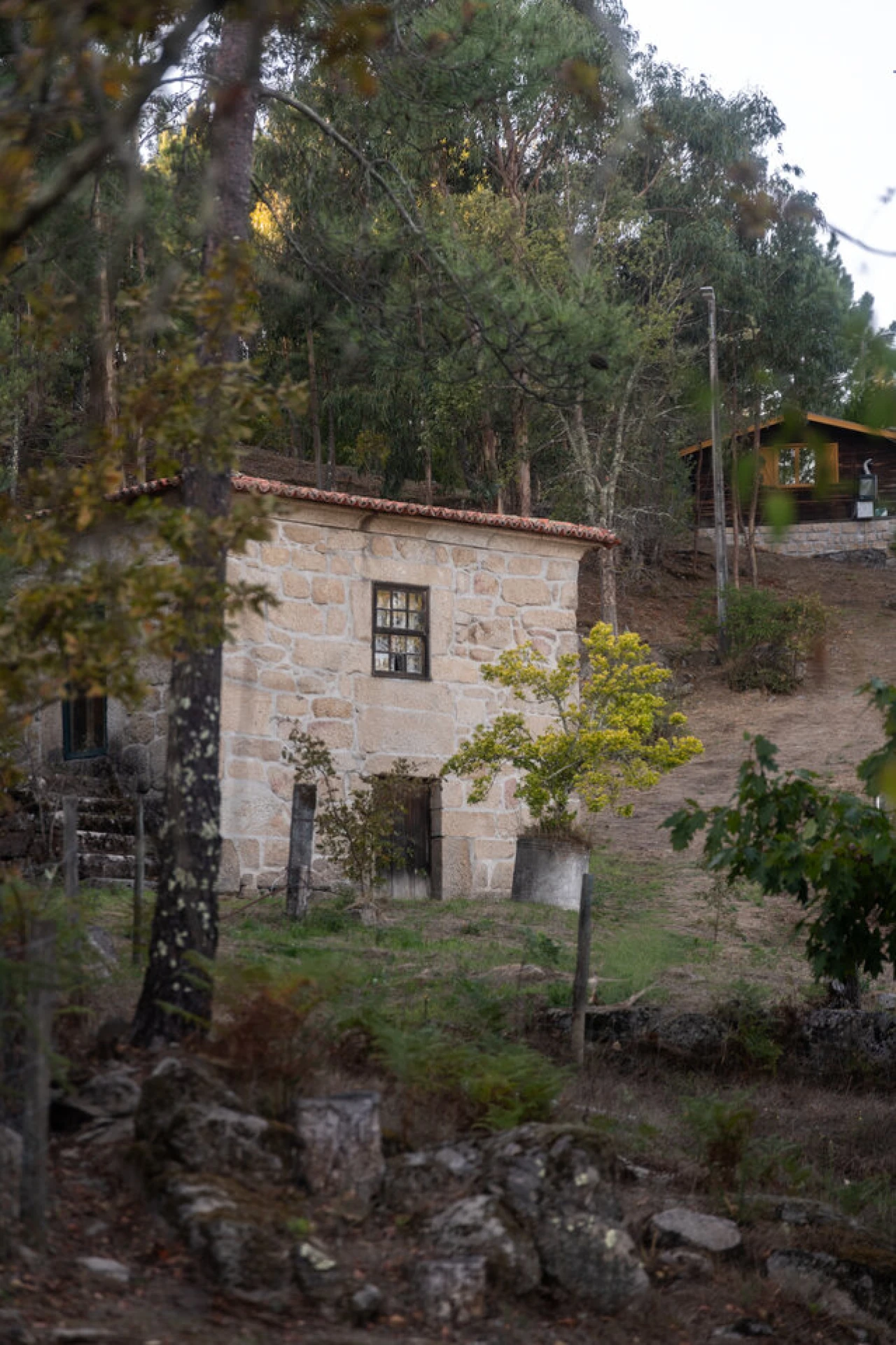 Quinta T27 para Venda em Sande e São Lourenço Foto 33