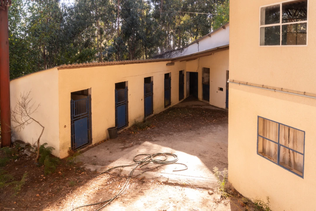 Quinta T27 para Venda em Sande e São Lourenço Foto 46