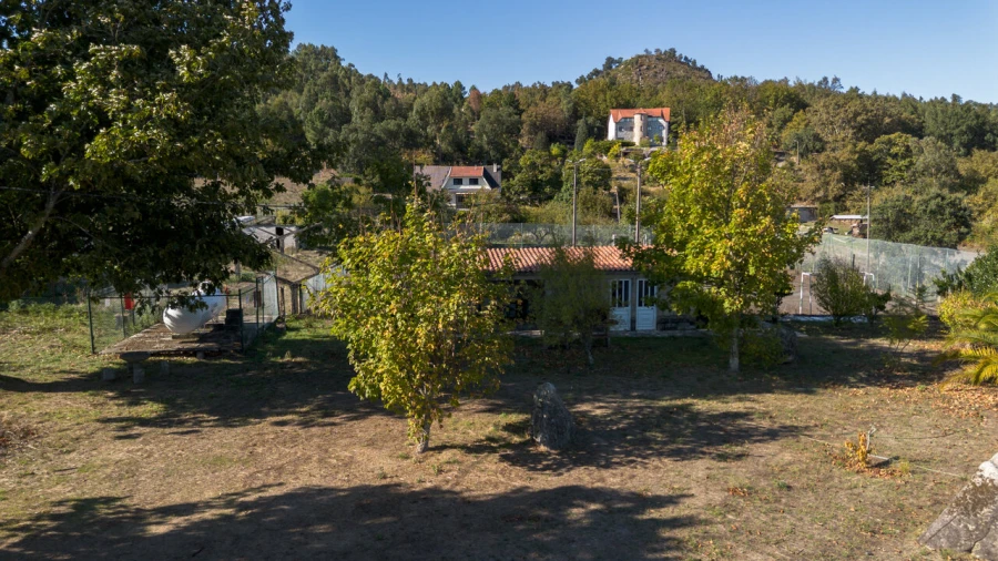 Quinta T27 para Venda em Sande e São Lourenço Foto 4