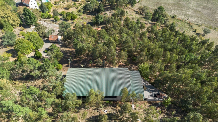 Quinta T27 para Venda em Sande e São Lourenço Foto 44