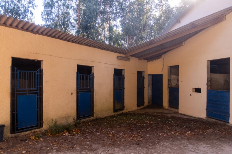 Quinta T27 para Venda em Sande e São Lourenço Foto 47