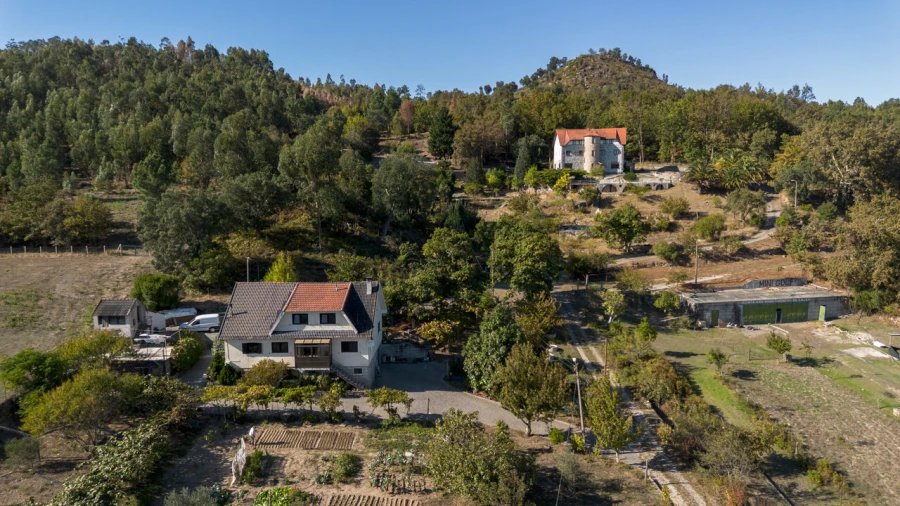 Quinta T27 para Venda em Sande e São Lourenço Foto 59