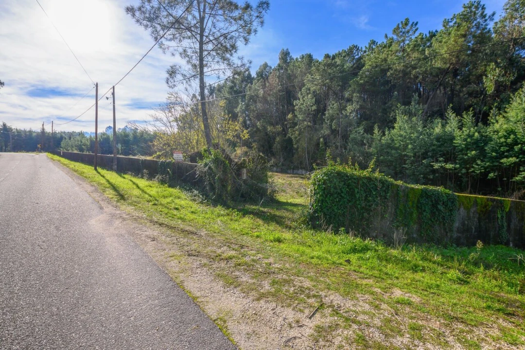 Terreno para Venda em Ferreira do Zezere Foto 3