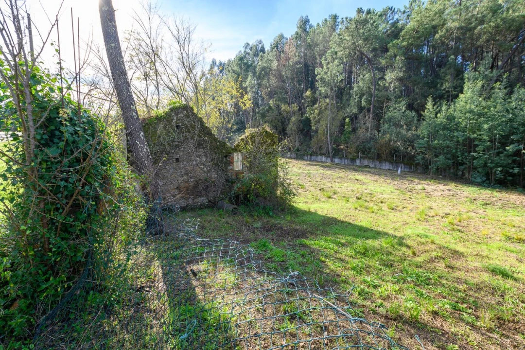 Terreno para Venda em Ferreira do Zezere Foto 2