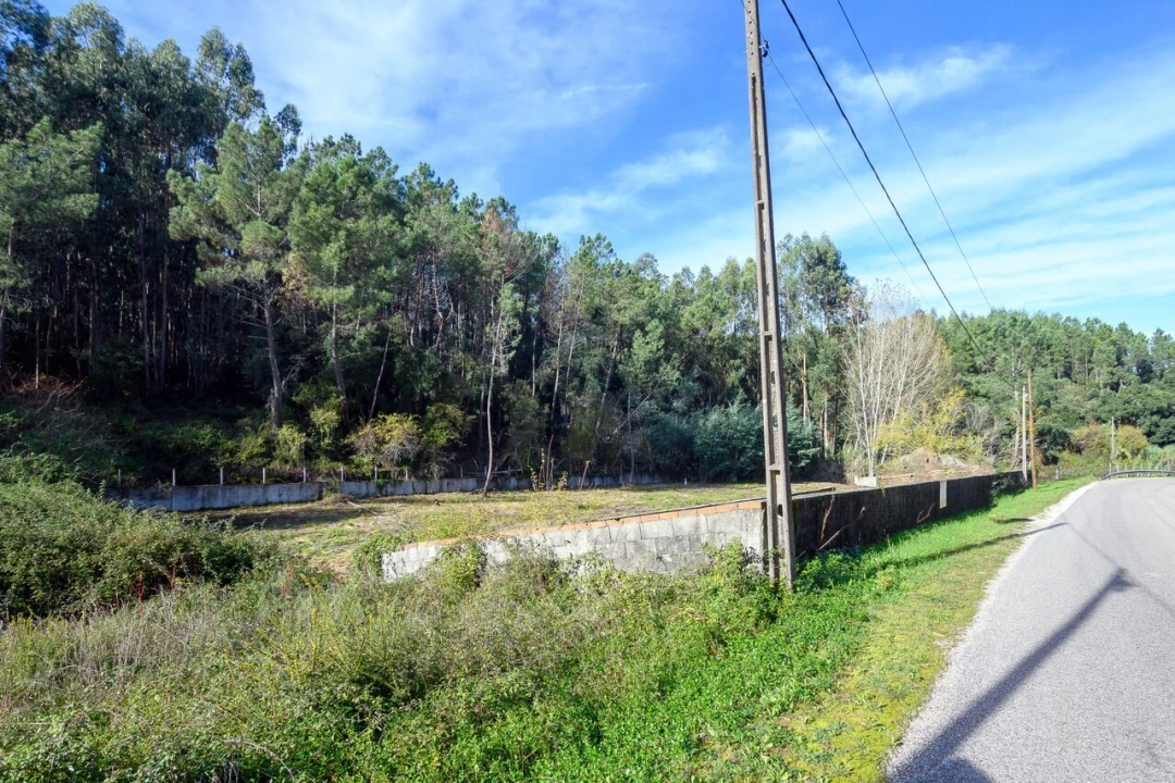 Terreno para Venda em Ferreira do Zezere Foto 5