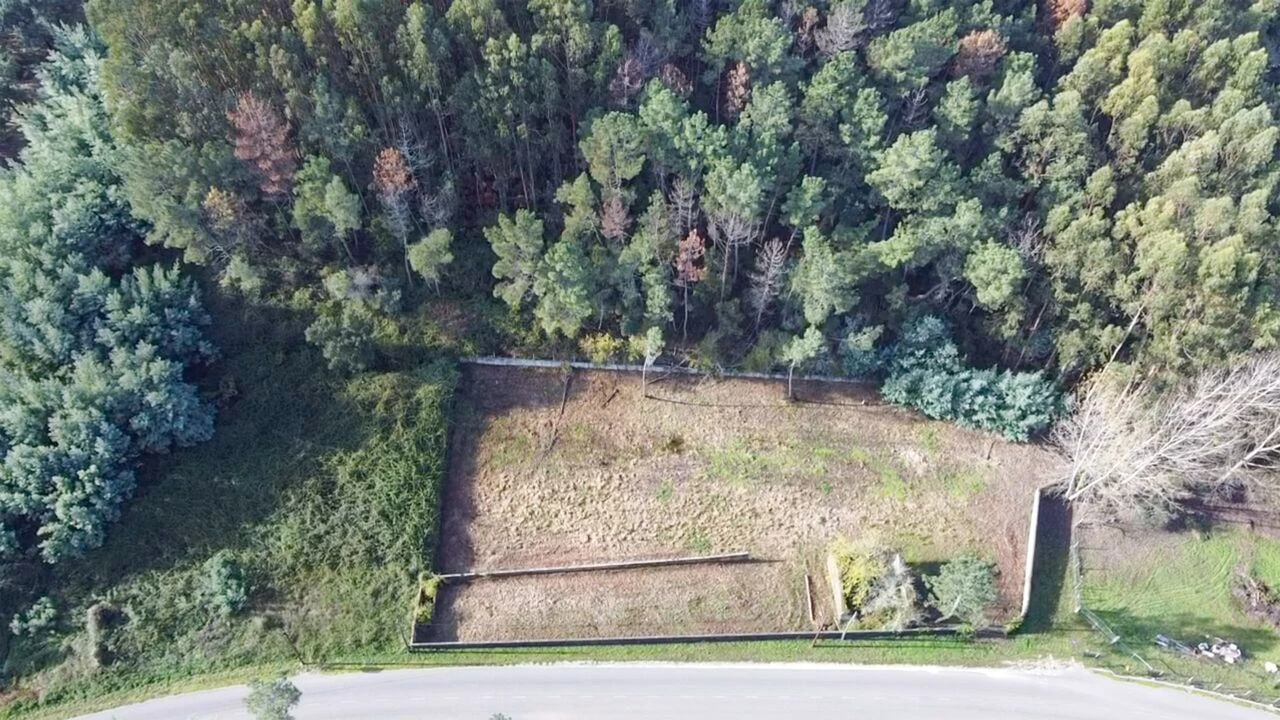 Terreno para Venda em Ferreira do Zezere Foto 9