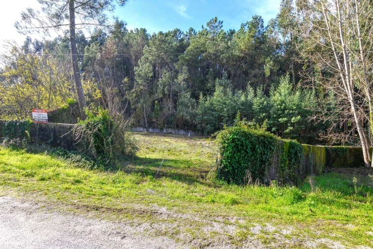 Terreno para Venda em Ferreira do Zezere Foto 4