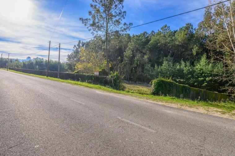 Terreno para Venda em Ferreira do Zezere Foto 6