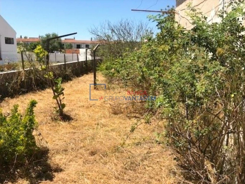 Quinta T3 para Venda em Cunheira Foto 14