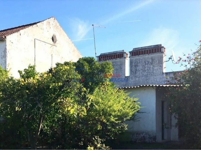 Quinta T3 para Venda em Cunheira Foto 3