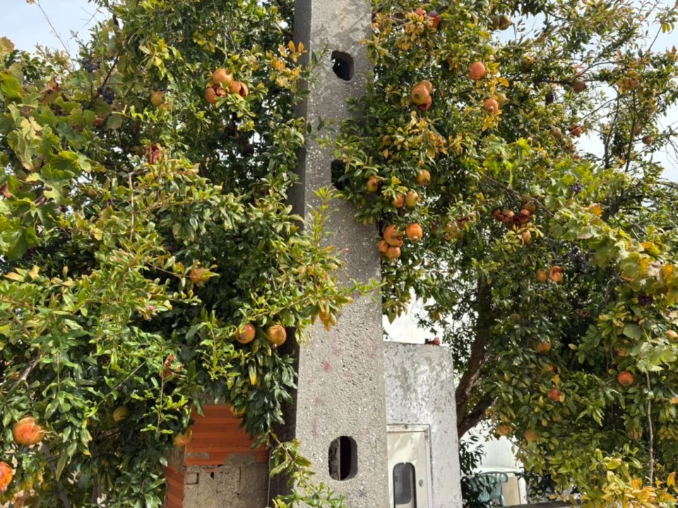 Terreno P/ Prédio para Venda em Quinta do Conde Foto 15