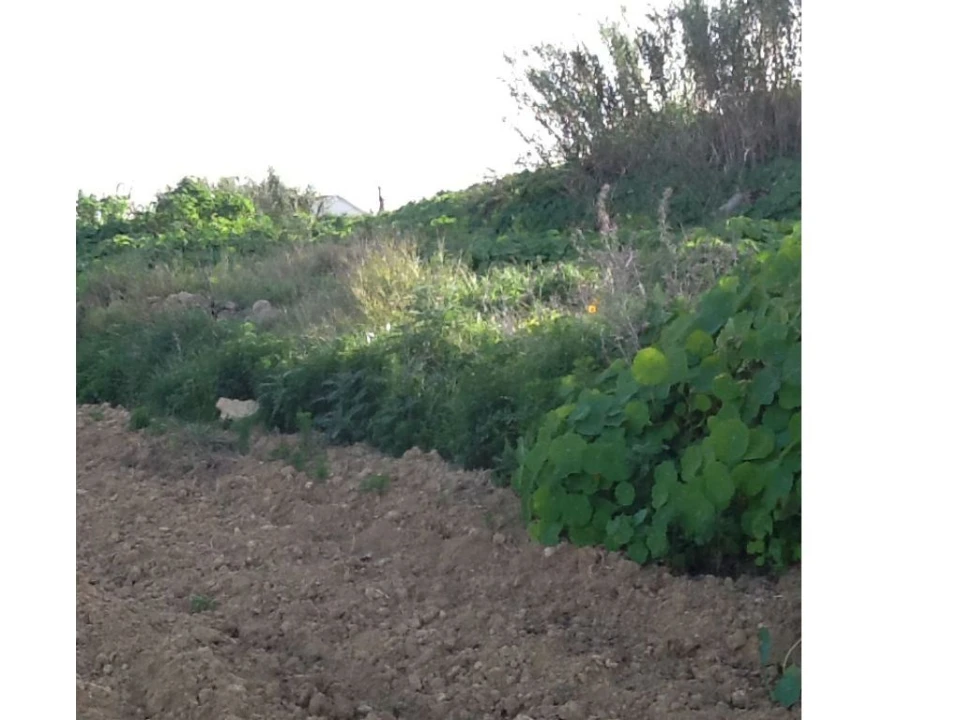 Terreno P/ Prédio para Venda em Caparica e Trafaria Foto 15