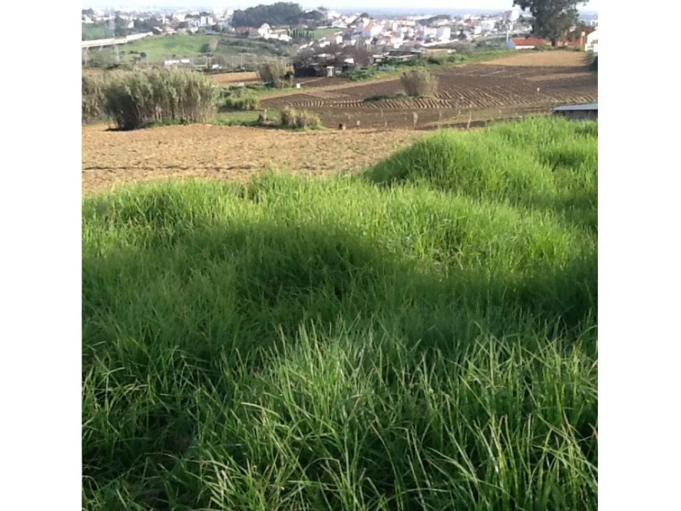 Terreno P/ Prédio para Venda em Caparica e Trafaria Foto 18