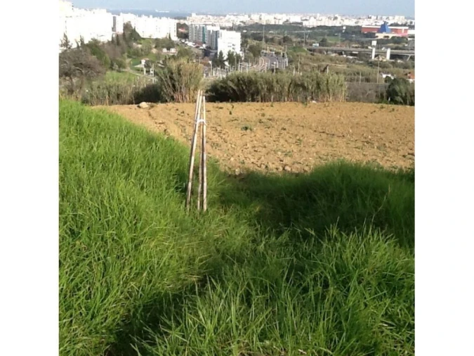 Terreno P/ Prédio para Venda em Caparica e Trafaria Foto 20