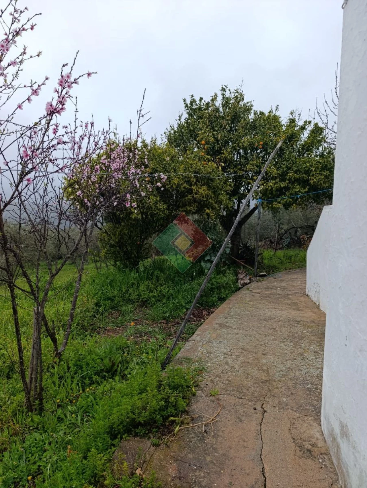 Quinta T4 para Venda em Reguengo e São Julião Foto 9