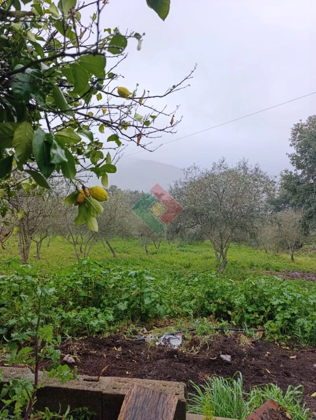 Quinta T4 para Venda em Reguengo e São Julião Foto 10