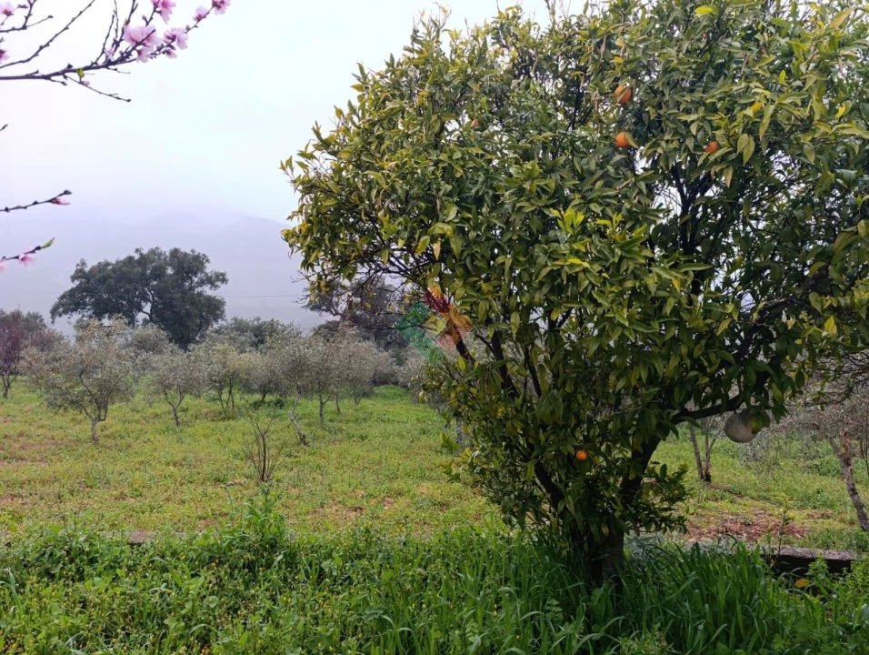 Quinta T4 para Venda em Reguengo e São Julião Foto 12