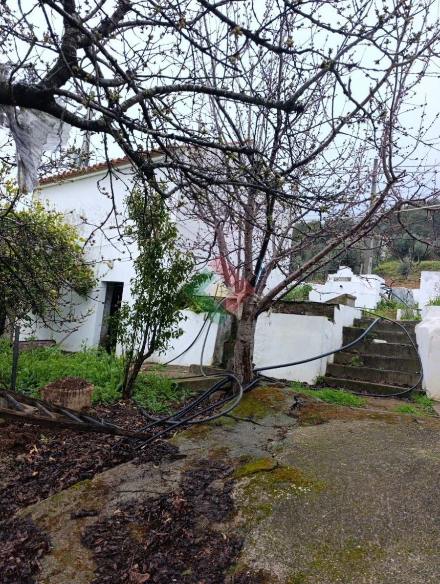 Quinta T4 para Venda em Reguengo e São Julião Foto 6