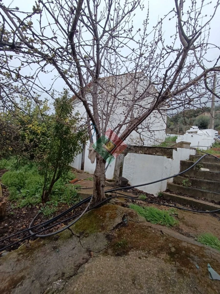 Quinta T4 para Venda em Reguengo e São Julião Foto 7