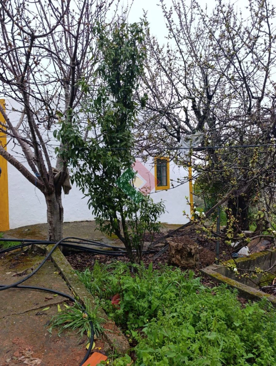 Quinta T4 para Venda em Reguengo e São Julião Foto 8