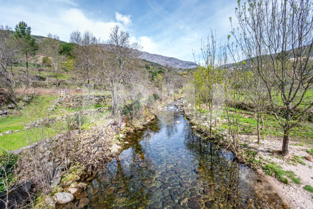 Moradia T7 para Venda em Cortes do Meio Foto 63