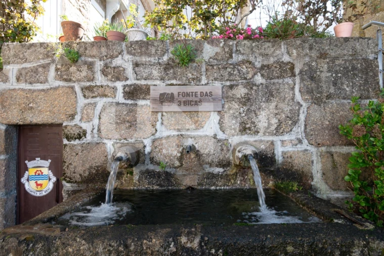 Moradia T7 para Venda em Cortes do Meio Foto 61