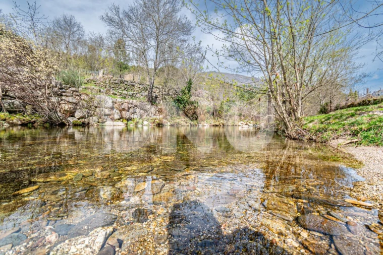 Moradia T7 para Venda em Cortes do Meio Foto 67