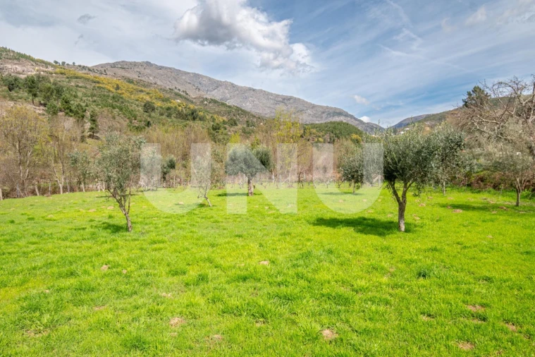 Moradia T7 para Venda em Cortes do Meio Foto 68