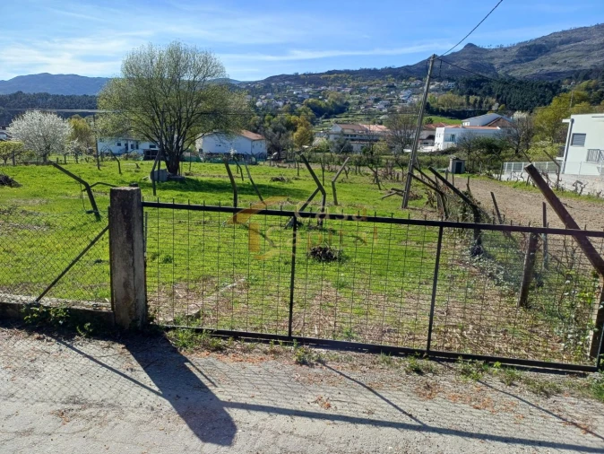 Terreno para Venda em Borbela e Lamas de Olo Foto 4