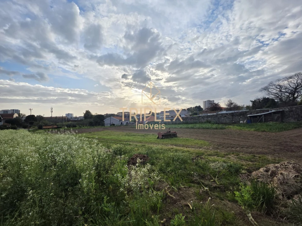 Terreno para Venda em Moreira Foto 9