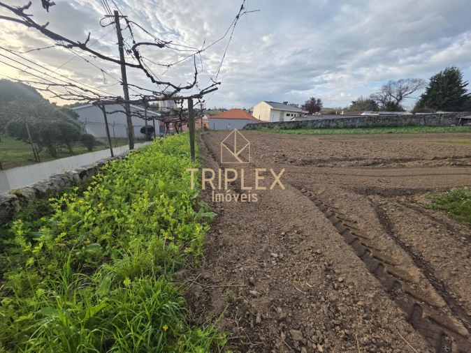 Terreno para Venda em Moreira Foto 15