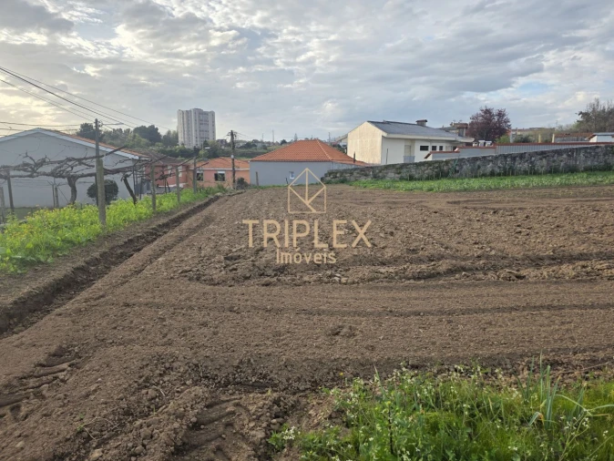 Terreno para Venda em Moreira Foto 11