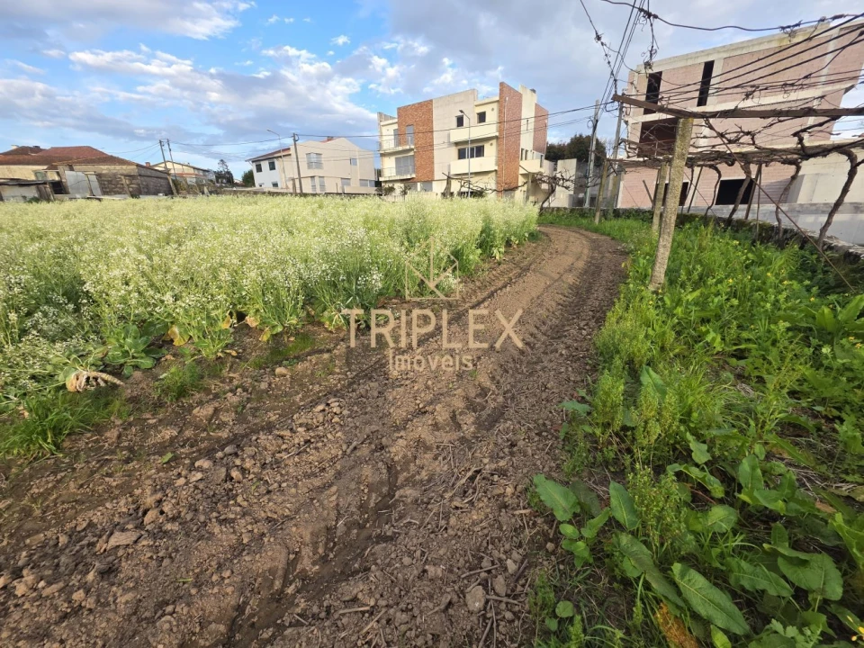 Terreno para Venda em Moreira Foto 14
