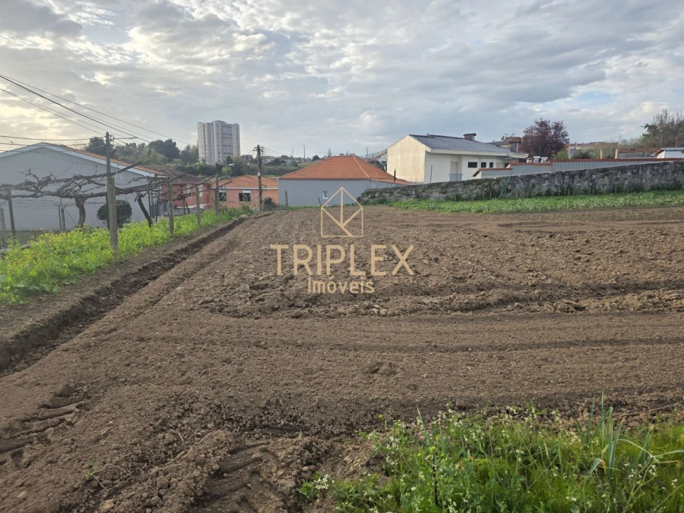 Terreno para Venda em Moreira Foto 11