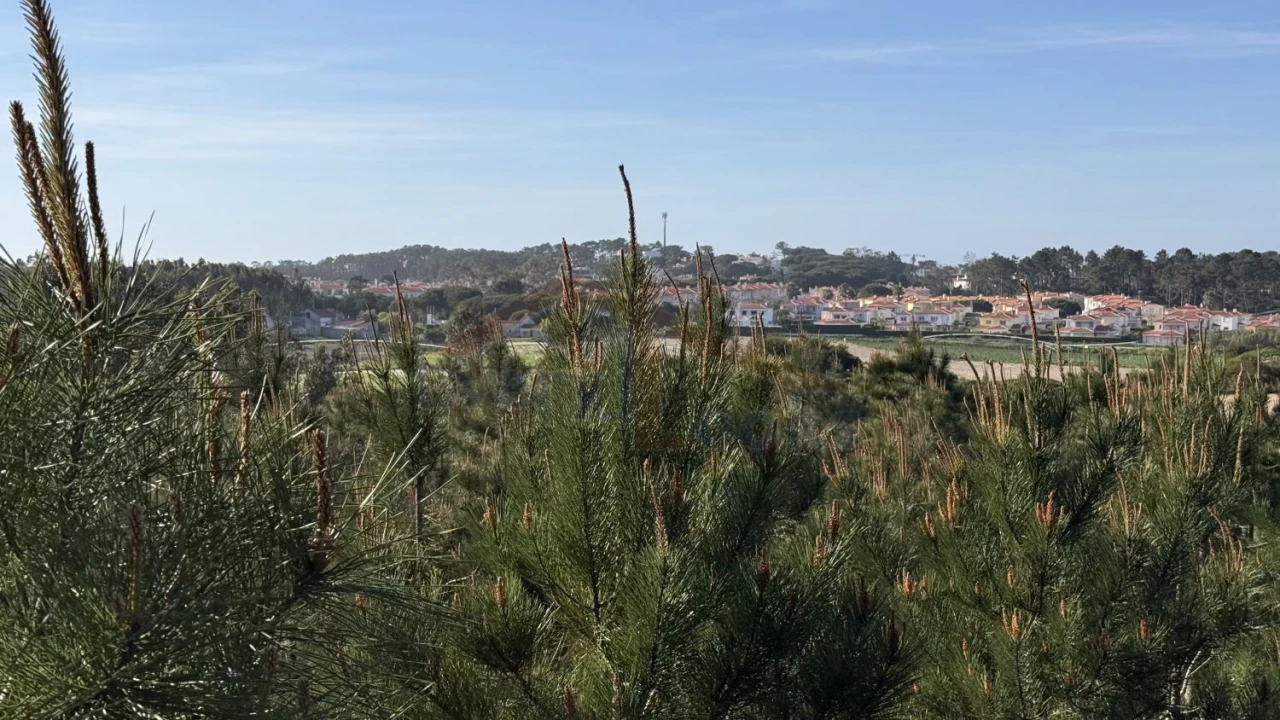 Terreno para Venda em Amoreira Foto 20