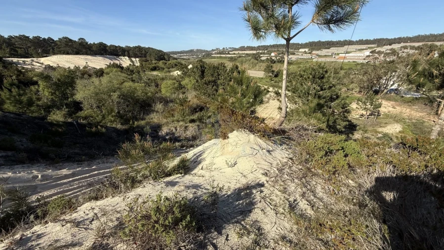 Terreno para Venda em Amoreira Foto 14